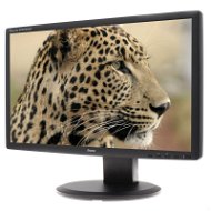 22" iiyama ProLite B2209HDS černý - LCD monitor