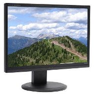 22 "iiyama ProLite B2206WS čierny - LCD monitor