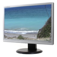 22" iiyama ProLite B2206WS-S Silver - LCD Monitor
