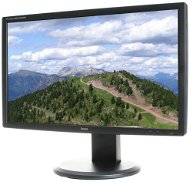 24" iiyama ProLite B2409HDS černý - LCD monitor