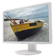 24" iiyama ProLite B2409HDS bílý - LCD monitor