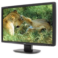 24" iiyama ProLite E2409HDS černý - LCD monitor