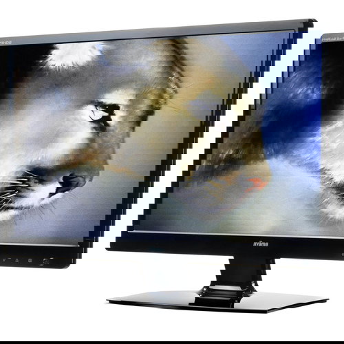 24" iiyama ProLite E2473HDS black - LCD Monitor - Main image