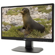 24" iiyama ProLite XB2472HD black - LCD Monitor