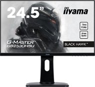 25" iiyama G-Master GB2530HSU-B1 - LCD monitor