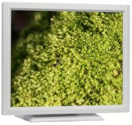 17" iiyama ProLite T1731SR Touchscreen biely - LCD monitor
