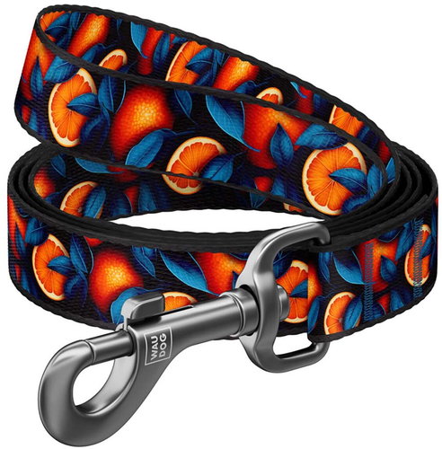 WAUDOG Leash nylon Orange (M/122 cm/2 cm) - Leash - Main image