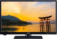 24" Toshiba 24W3663DG - Television