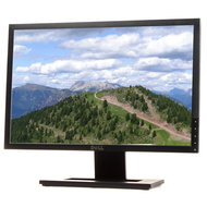 19" Dell E1910 - LCD Monitor