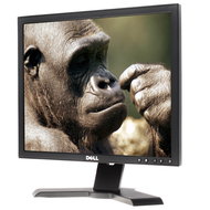 19" Dell P190S - LCD Monitor