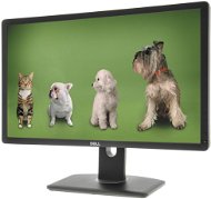 24" Dell P2412H Professional - LCD Monitor
