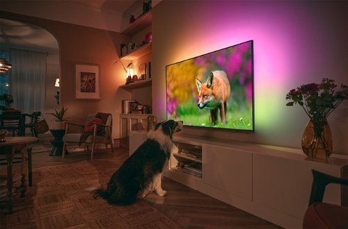 Comprar TV LED 126cm (50) Philips 50PUS8818/12 UHD 4K, Ambilight
