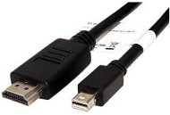 ROLINE DisplayPort - HDMI, 1m - Video Cable