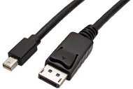 ROLINE DisplayPort DP(M) -> miniDP(M), 2m - Videokabel