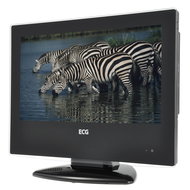 ECG 16DHD134 - Television