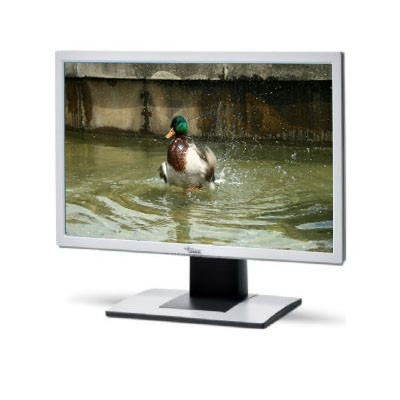 24" Fujitsu B24W-5 ECO - LCD Monitor - Main image