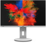 24" Fujitsu P2410 WE - LCD monitor