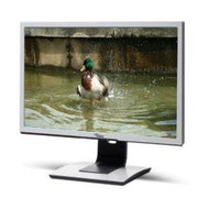 FUJITSU SCENICVIEW B24W-5 ECO - LCD Monitor