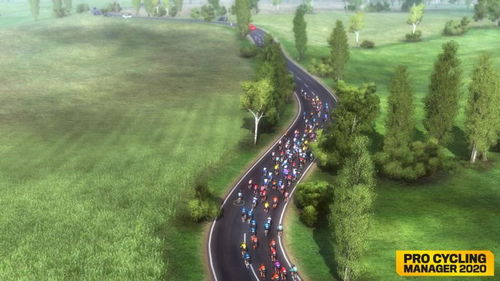 Pro Cycling Manager 2020 - PC Game