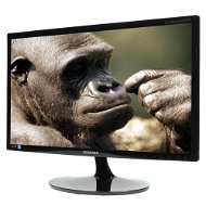 21.6" Samsung S22B300BS černý - LCD monitor