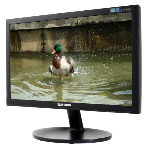 18.5" LCD SAMSUNG E1920N - black Main image 18.5" LCD SAMSUNG E1920N - black - LCD Monitor - Main image