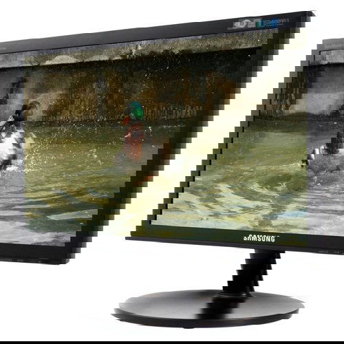 18.5" Samsung E1920R black  - LCD Monitor - Main image