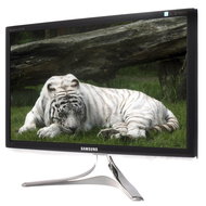 24" Samsung BX245 grey - LCD Monitor