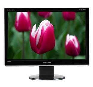 LCD panel Samsung 2493HM - LCD Monitor - Main image