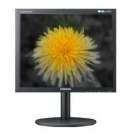 19" Samsung B1940MR black - LCD Monitor