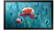 24" Samsung QB24R - Large-Format Display