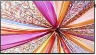 55" Samsung DH55D - Large-Format Display