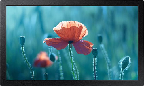 13" Samsung QB13R-T Hauptbild 13" Samsung QB13R-T - LCD Monitor - Hauptbild