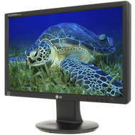 18.5" LG W1946S-BF - LCD monitor