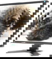 EIZO S1921XSH-BK černý - LCD Monitor