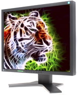 19" EIZO S1902SH-BK black - LCD Monitor