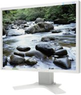 21 "EIZO S2100 - LCD Monitor