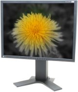 21" EIZO FlexScan S2100-K - LCD Monitor
