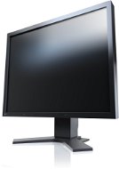 21 &quot;EIZO FlexScan S2133-BK - LCD monitor