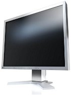 21" EIZO FlexScan S2133-GY - LCD Monitor