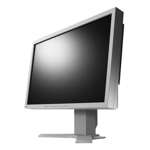 22" EIZO S2202WH-GY - LCD monitor - Main image
