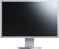 22" EIZO FlexScan EV2216WFS3-GY - LCD monitor
