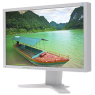 22" LCD EIZO S2233WH-GY - LCD Monitor