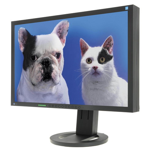 22" EIZO S2233WFS-BK EcoView  - LCD Monitor - Main image