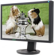 22" EIZO S2243WFS-BK EcoView  - LCD Monitor