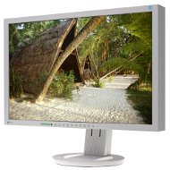 22" EIZO S2243WFS-GY EcoView  - LCD Monitor