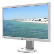 23" LCD EIZO EV2313WH-GY - LCD Monitor