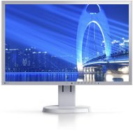 23" EIZO EV2316W-GY EcoView - LCD monitor