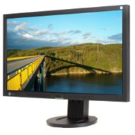 23" EIZO EV2333WH-BK EcoView  - LCD monitor