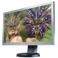 23" EIZO EV2335W-GB EcoView - LCD Monitor