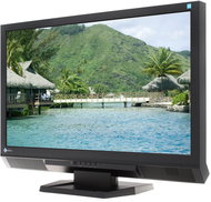 23" LED EIZO FS2331 EcoView  - LCD Monitor